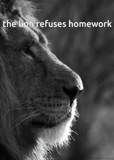 Lion GIFs