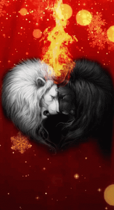 Black And White Lion With Fire On Head GIF