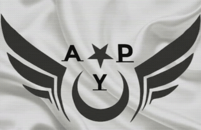 Black And White Logo A P Y GIF