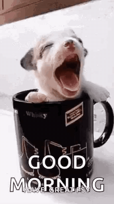 Black And White Man And Woman Kissing With Pxln2 Gifs Watermark GIF