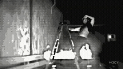 Black And White Man On Ladder With NXT GIF
