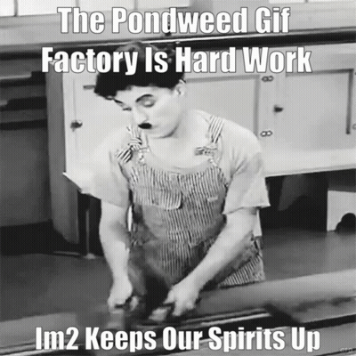 Black And White Man Pondweed GIF Factory Hard Work GIF