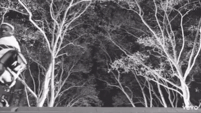Black And White Man Riding Skateboard In Forest GIF
