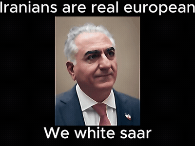Black-And-White Man Says Iranians Are Real European GIF