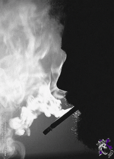 Black And White Man Smoking Cigarette 2003 GIF