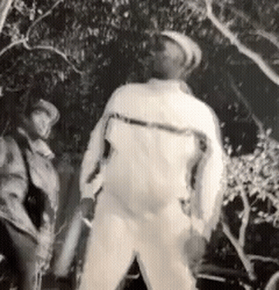 Black And White Man Standing By Tree GIF