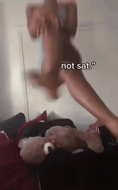 Black And White Man With Hands Up Saying Absolute Sasageyo GIF