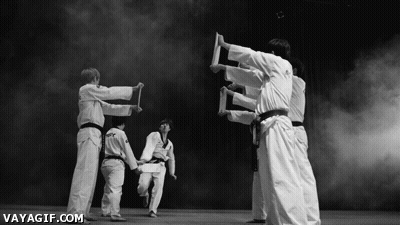 Black And White Martial Arts Fighters Vayagif.com GIF