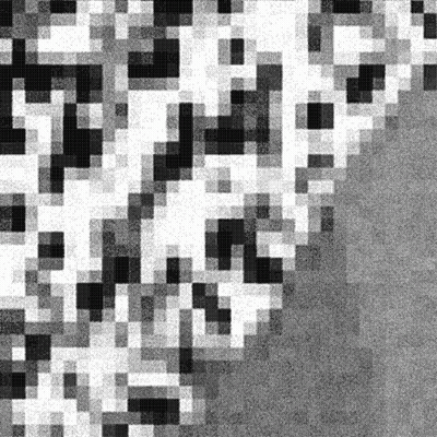 Black And White Maze With Squares GIF