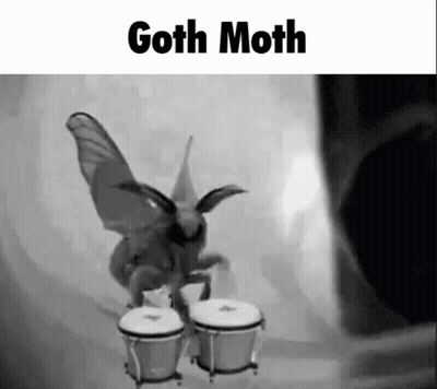 Black And White Moth Labeled Black Knit Groom GIF