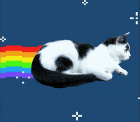 Black And White Neon Cat GIF