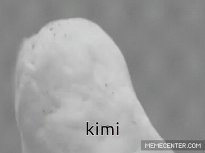 Black And White Owl With Word Kimi On Face GIF