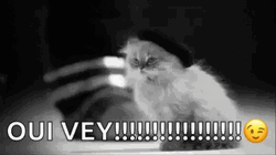 Black And White Oy Vey GIF
