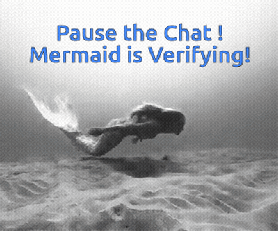 Black And White Pause The Chat Mermaid Is Verifying GIF