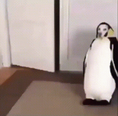 Black And White Penguin Standing In Room GIF