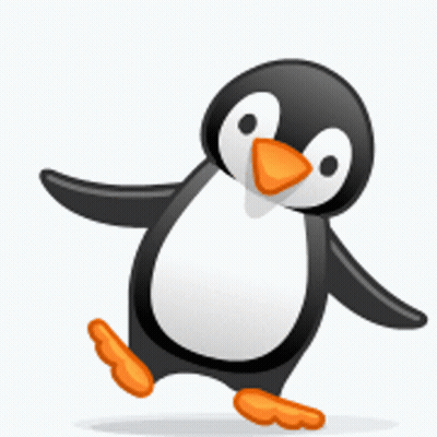Black And White Penguin With Orange Beak And Legs GIF