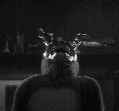 Black And White Person Dressed As Bunny GIF