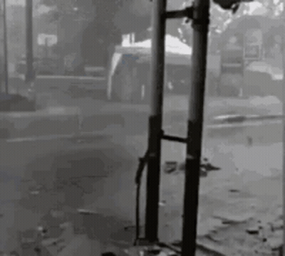 Black And White Person Next To Pole GIF