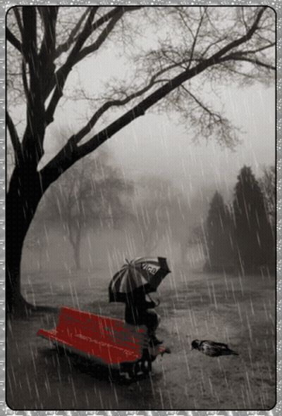 Black And White Person On Bench With Visa Umbrella