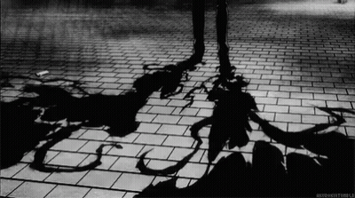 Black And White Person's Shadow On Brick Floor GIF