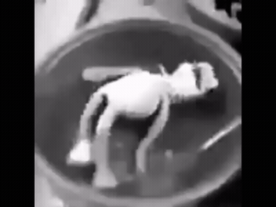 Black And White Person Sitting In Bowl GIF