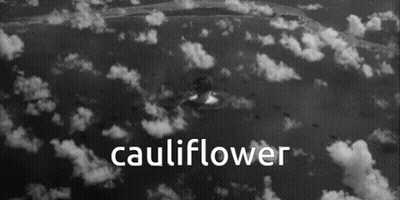 Black And White Photo Cauliflower GIF