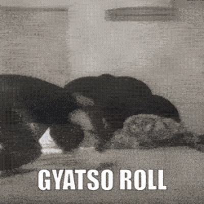 Black And White Photo Gyatso Roll On Bed GIF