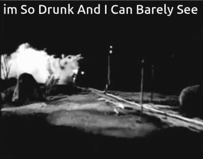 Black And White Photo Im So Drunk And I Can Barely See GIF