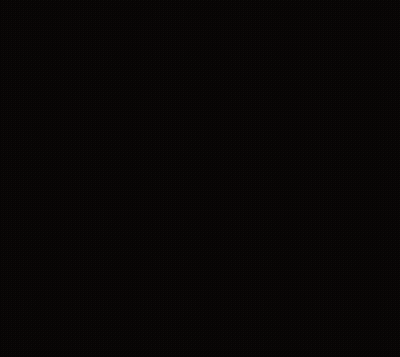 Black And White Photo Of Chihuahua And Man GIF