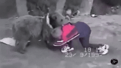 Black And White Photo Of Child Attacked By Dog GIF