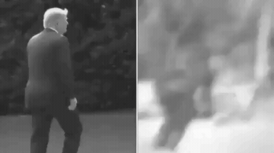 Black And White Photo Of Donald Trump Walking Down Sidewalk GIF