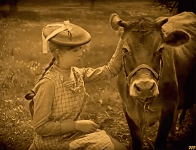 Black And White Photo Of Girl Petting Cow With Letters PPP GIF