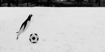 Black And White Photo Of Penguin Playing With Soccer Ball In Snow GIF