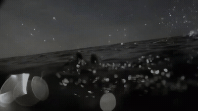 Black And White Photo Of People Swimming In Ocean GIF