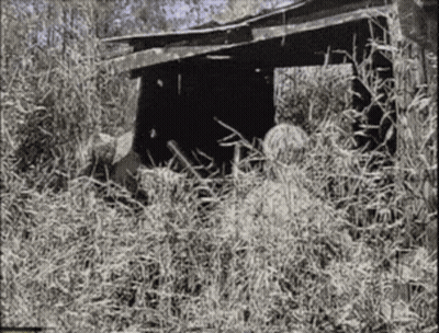 Black And White Photo Of Shack In Grass GIF