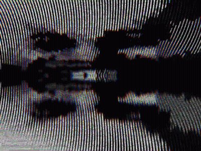 Black And White Photo With Tree Reflection GIF