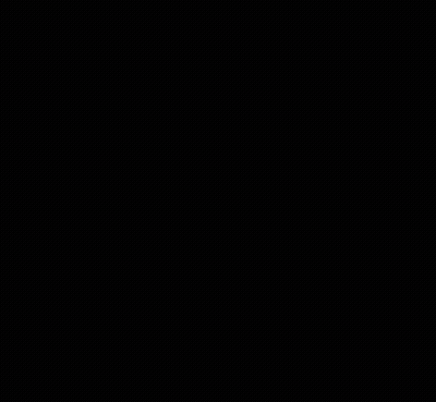 Black And White Pigeon Face GIF