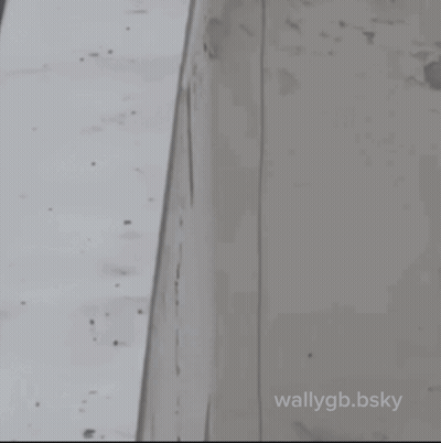 Black And White Pigeon On Wall Saying Wallygb.bsky GIF