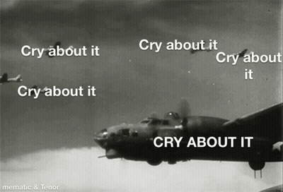 Black And White Plane Cry About It GIF