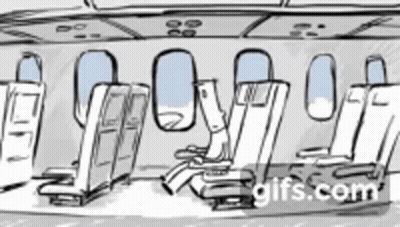 Black And White Plane With Seats And Windows GIF