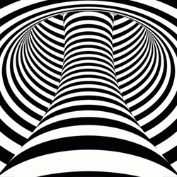 Black And White Pole Optic GIF