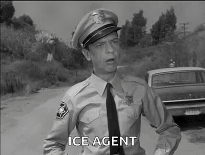 Black And White Police Officer Talking By Car GIF