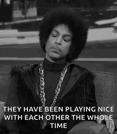 Black And White Prince Sitting On Couch Eyes Closed Quote GIF