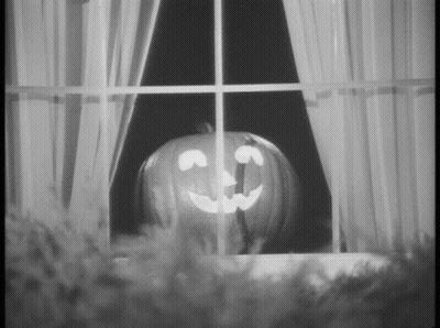 Black And White Pumpkin Looking Out Window GIF