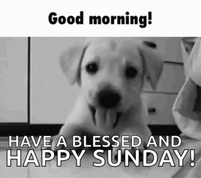 Black And White Puppy Saying Good Morning Sunday GIF