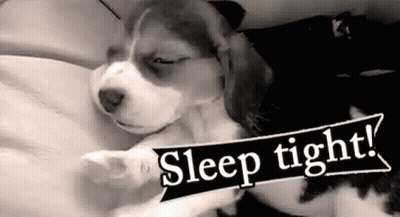 Black And White Puppy Sleeping With Sleep Tight Sign GIF