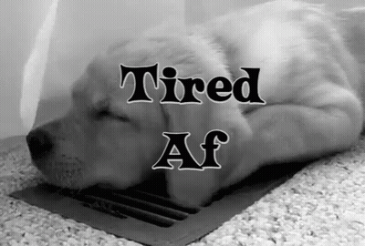Black And White Puppy Tired AF GIF