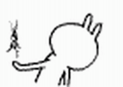 Black And White Rabbit With Stick In Mouth GIF