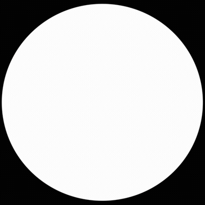 Black And White Raccoon Peeking Out Of Hole GIF
