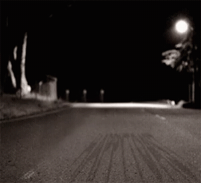 Black And White Raccoon Walking With Cane GIF